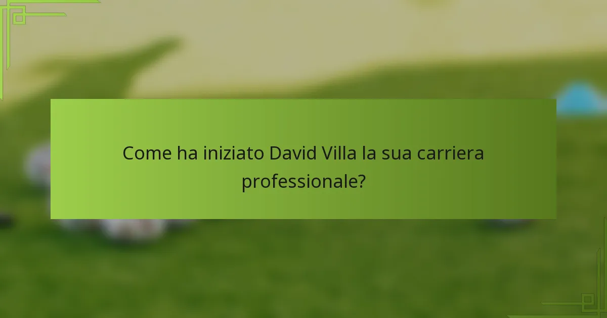 Come ha iniziato David Villa la sua carriera professionale?