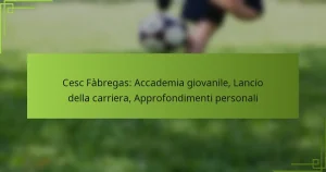 Cesc Fàbregas: Accademia giovanile, Lancio della carriera, Approfondimenti personali
