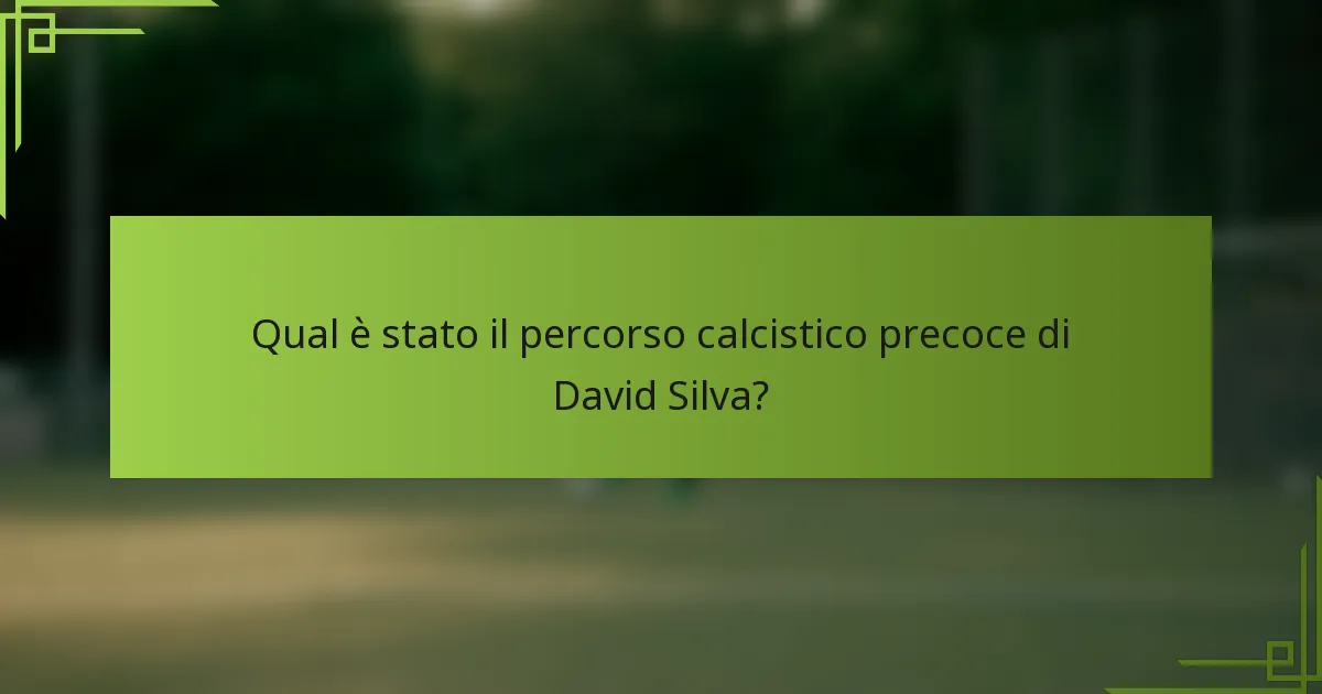 Qual è stato il percorso calcistico precoce di David Silva?