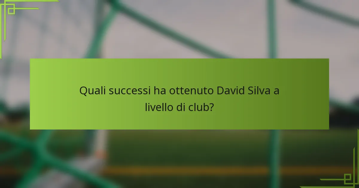 Quali successi ha ottenuto David Silva a livello di club?